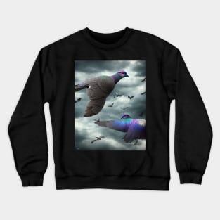 homing pigeon Crewneck Sweatshirt